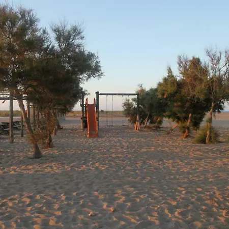 Mi En El Delta Del Ebro+