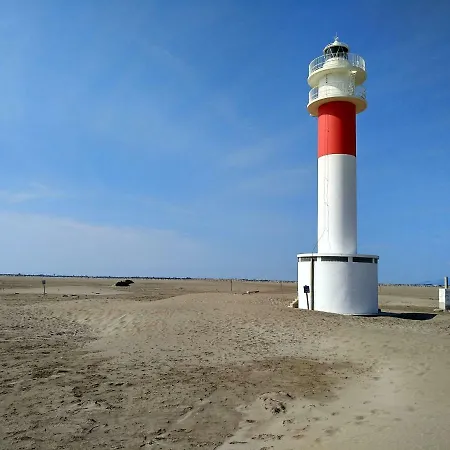 Mi En El Delta Del Ebro+ Deltebre