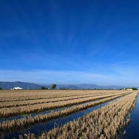 Apartmán Mi En El Delta Del Ebro+ *