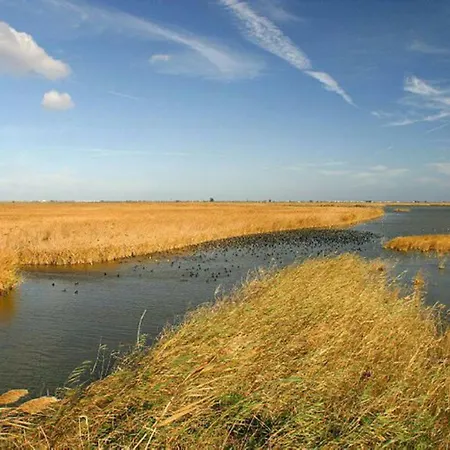 Mi En El Delta Del Ebro+