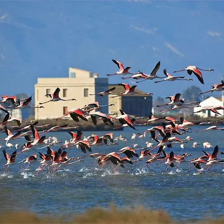 Apartmán Mi En El Delta Del Ebro+ Deltebre