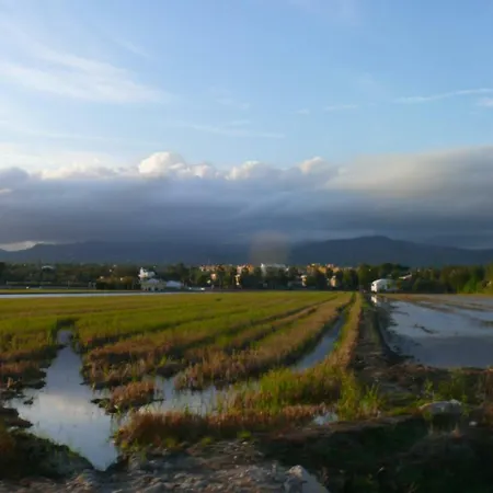 Mi En El Delta Del Ebro+ Apartmán *